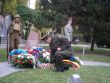 Pri príležitosti Dňa vojnových veteránov sa rozdávali červené maky
